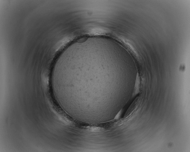 X0000101090539200807101551