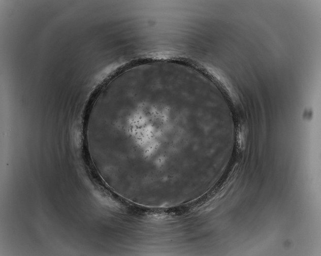 X0000101090540200807101551