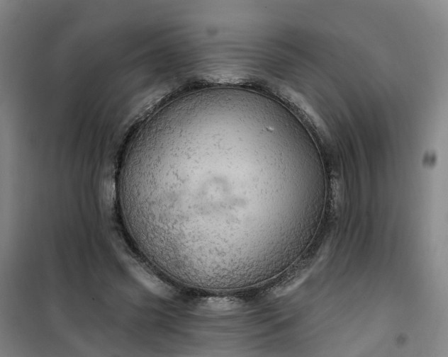 X0000101090541200807101551