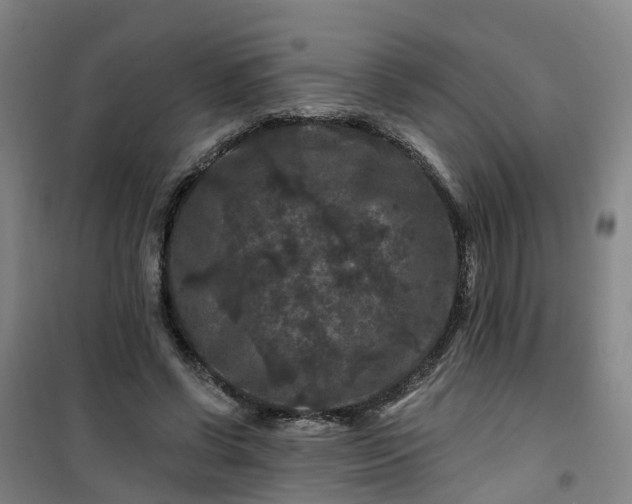 X0000101090542200807101551