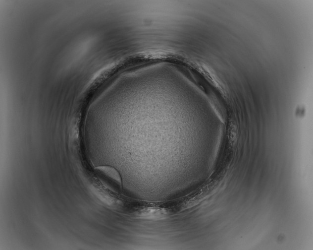 X0000101090543200807101551