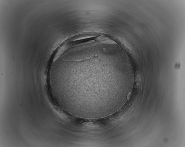 X0000101090544200807101551