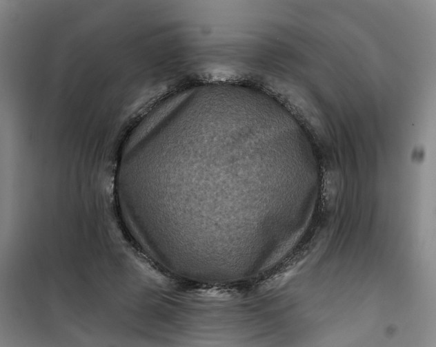 X0000101090545200807101551