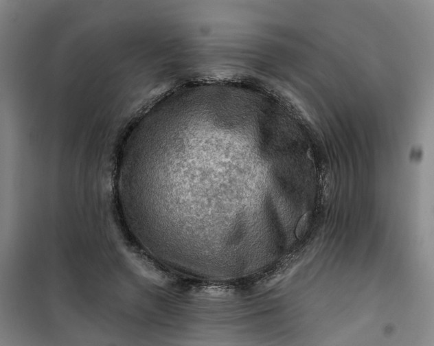 X0000101090546200807101551