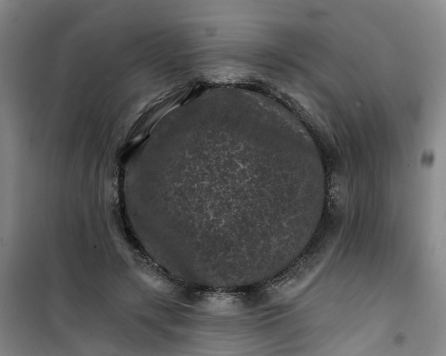 X0000101090547200807101551