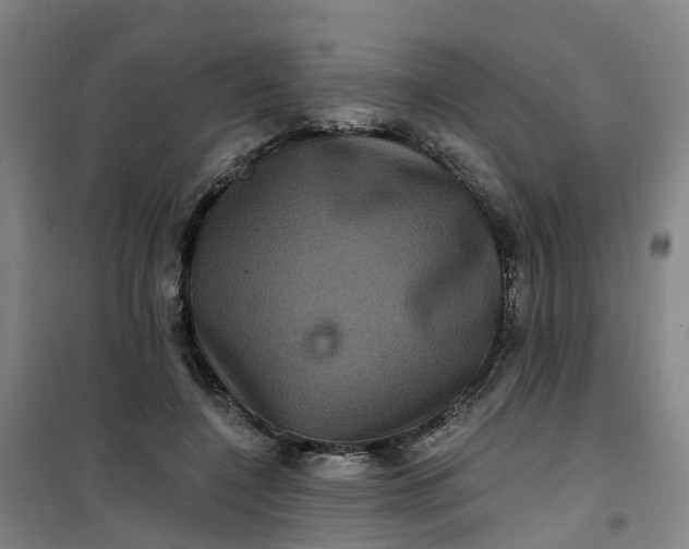 X0000101090548200807101551