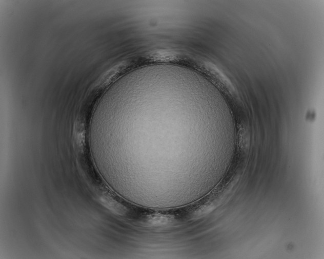 X0000101090549200807101551