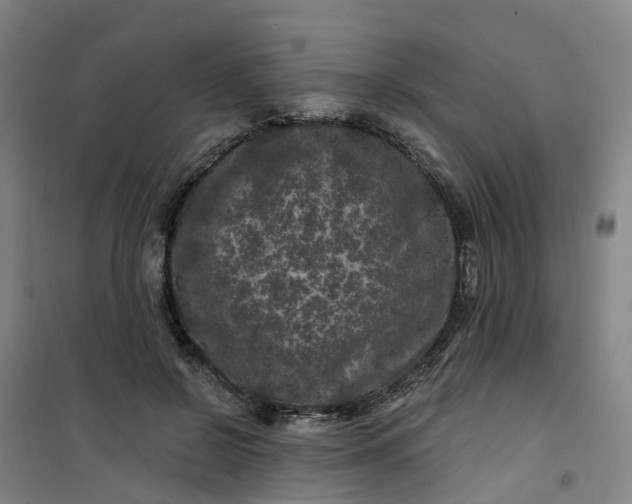 X0000101090550200807101551