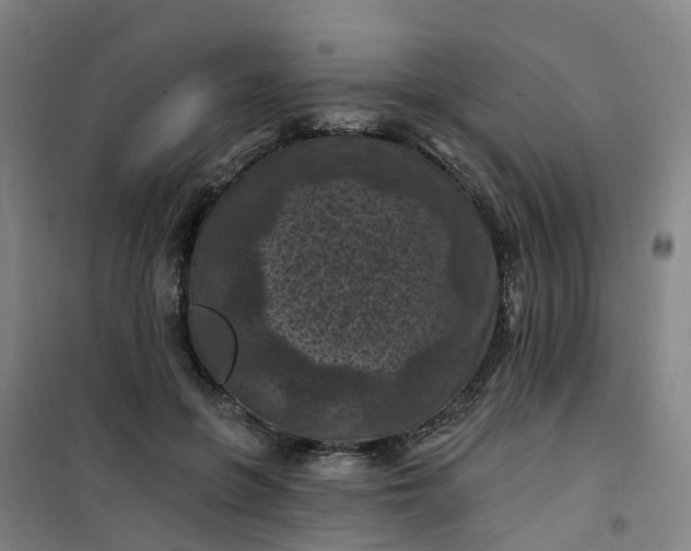 X0000101090551200807101551