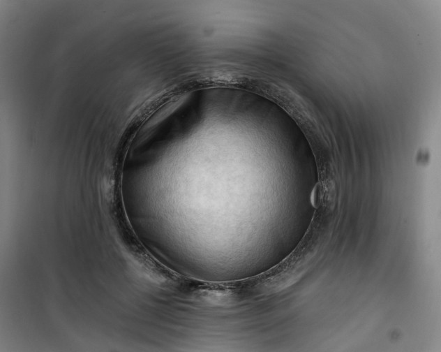 X0000101090552200807101551