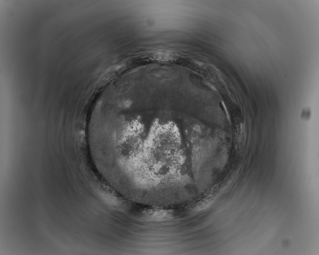 X0000101090553200807101551