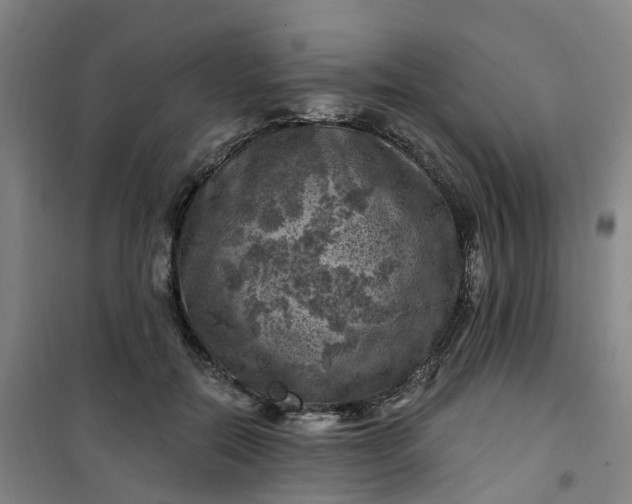 X0000101090554200807101551