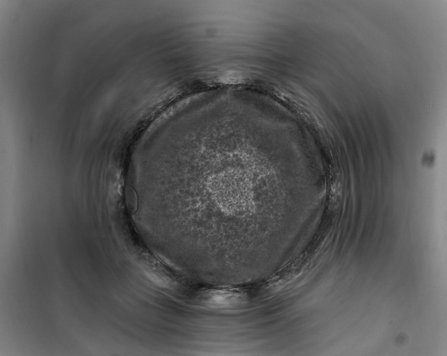 X0000101090555200807101551