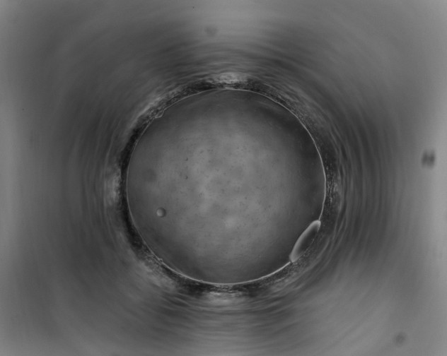 X0000101090556200807101551