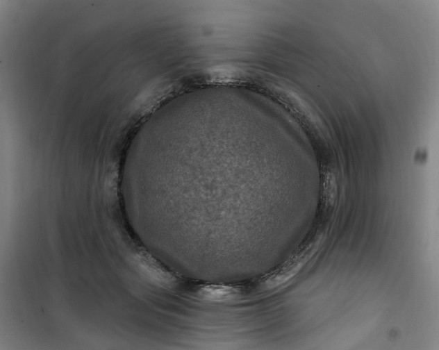 X0000101090557200807101551