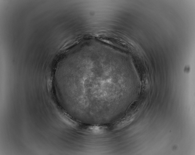 X0000101090558200807101551