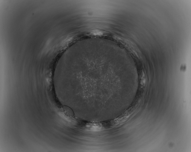 X0000101090559200807101551