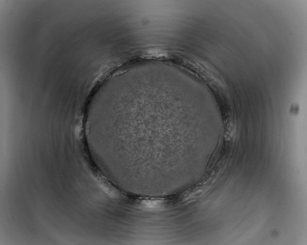 X0000101090560200807101551