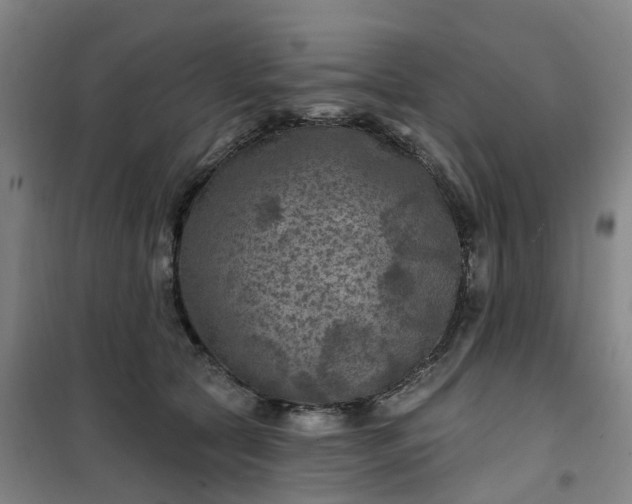 X0000101090561200807101551