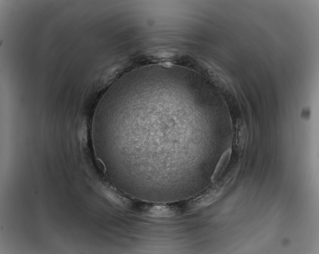 X0000101090562200807101551