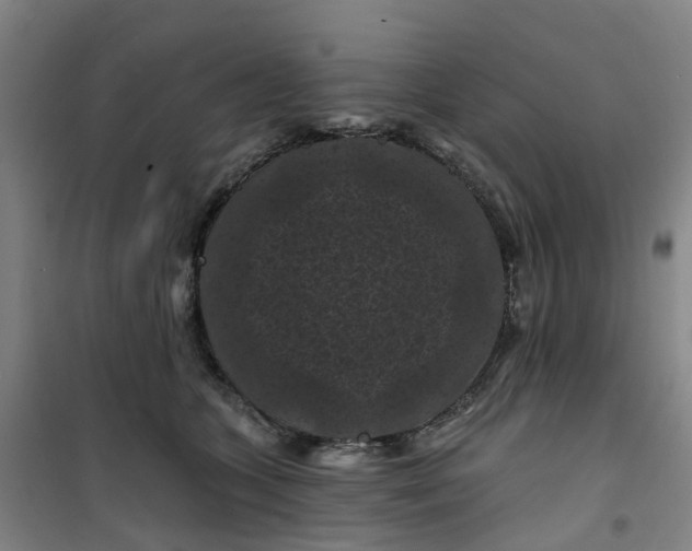 X0000101090563200807101551