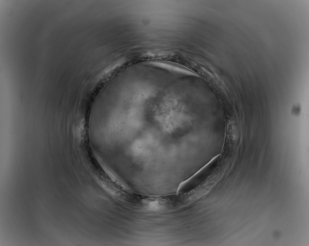 X0000101090564200807101551