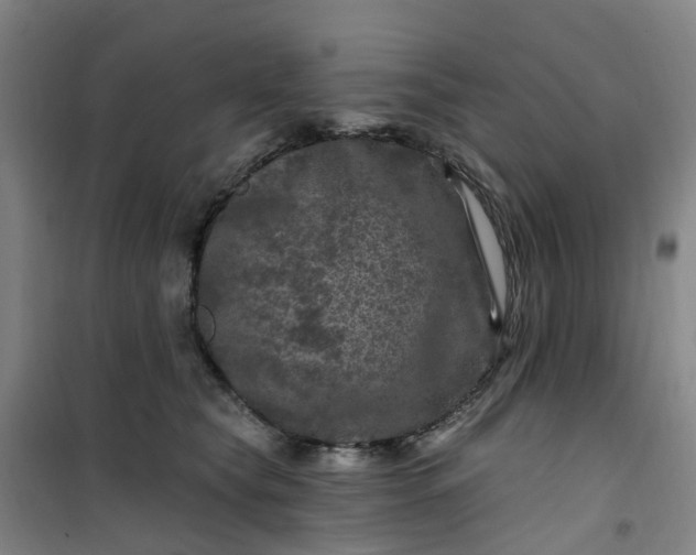 X0000101090565200807101551