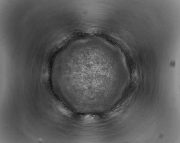 X0000101090566200807101551