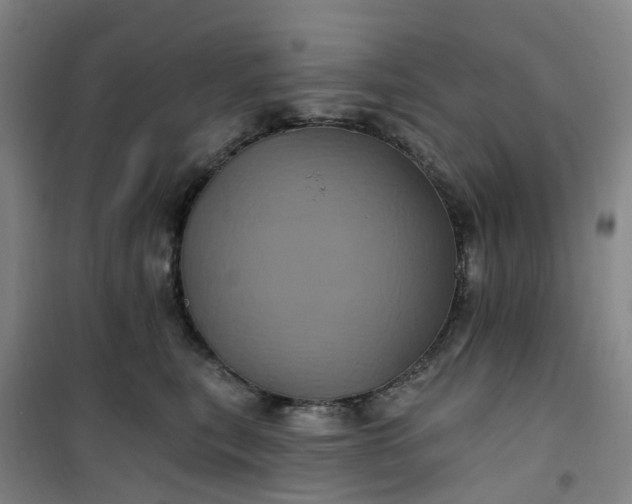 X0000101090567200807101551