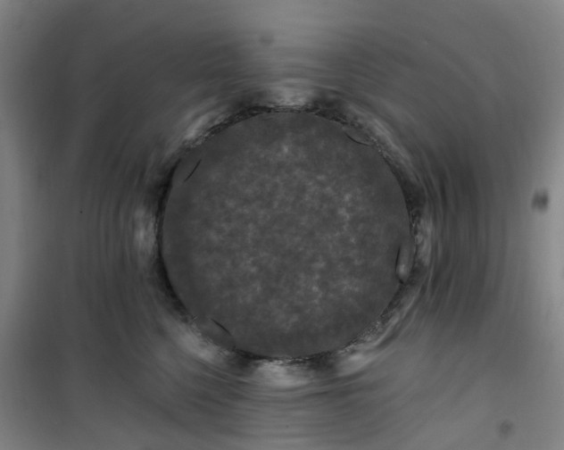 X0000101090568200807101551