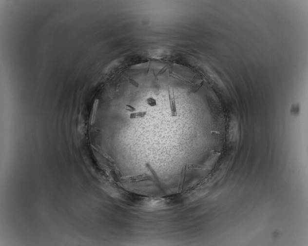 X0000101090569200807101551