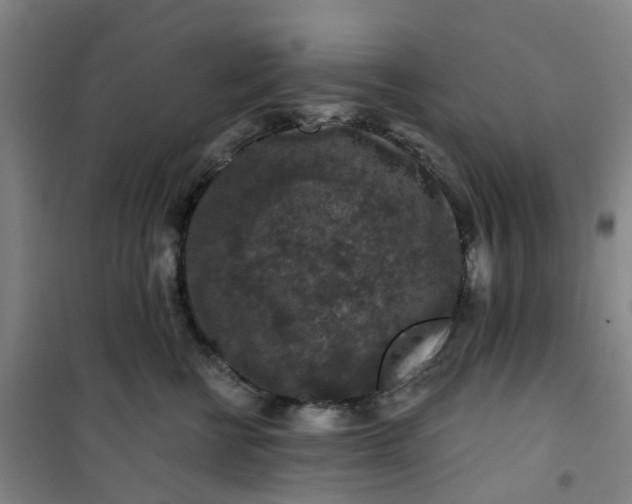 X0000101090570200807101551