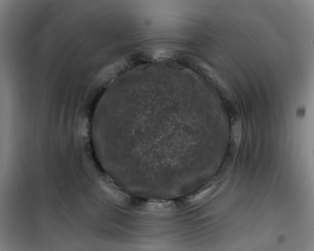 X0000101090571200807101551