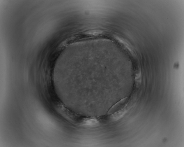 X0000101090572200807101551