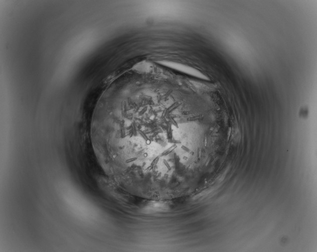 X0000101090573200807101551