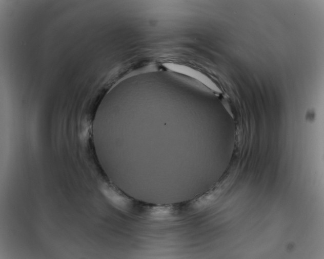 X0000101090574200807101551