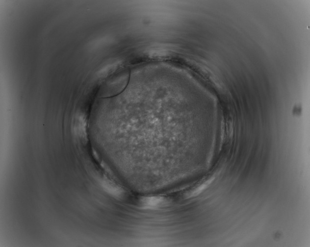 X0000101090575200807101551