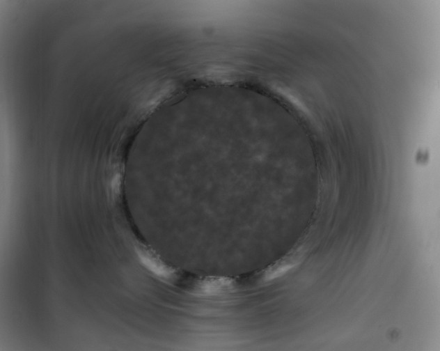 X0000101090576200807101551