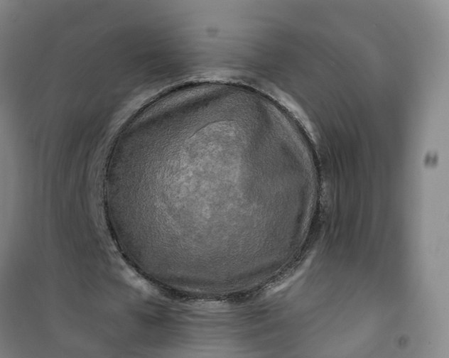 X0000101090577200807101550