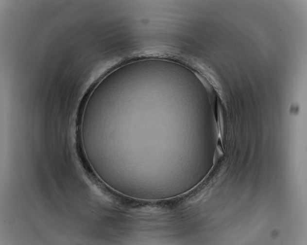 X0000101090578200807101550