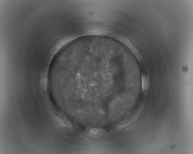 X0000101090579200807101550