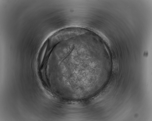 X0000101090580200807101550