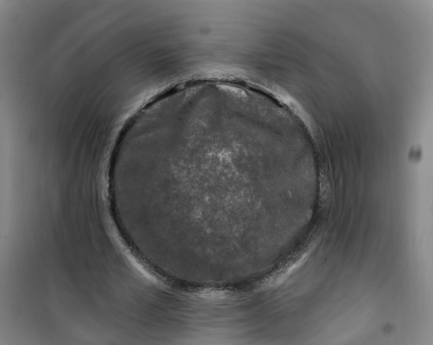 X0000101090581200807101550