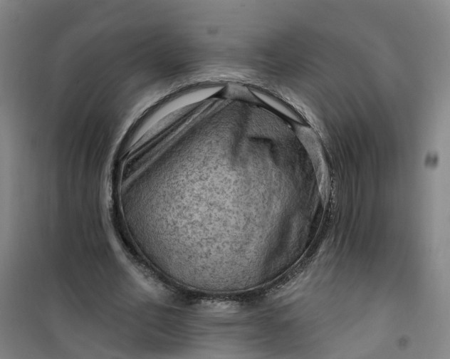 X0000101090582200807101550