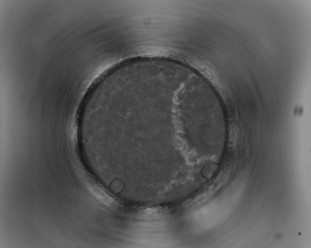 X0000101090584200807101550