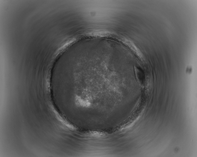 X0000101090585200807101550