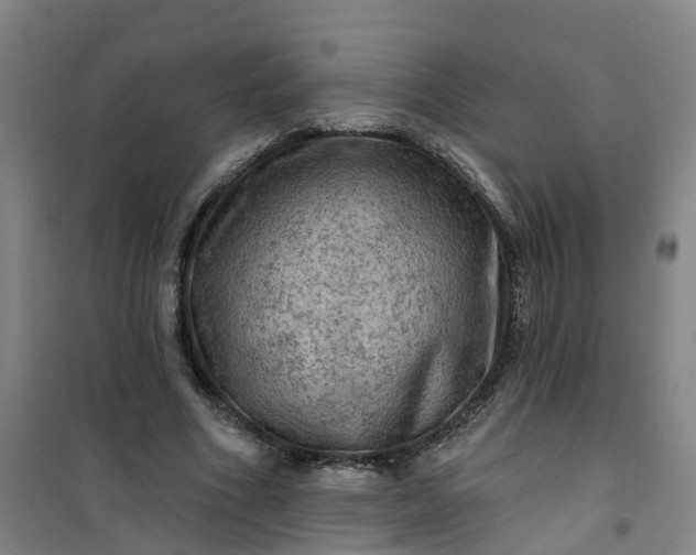 X0000101090586200807101550