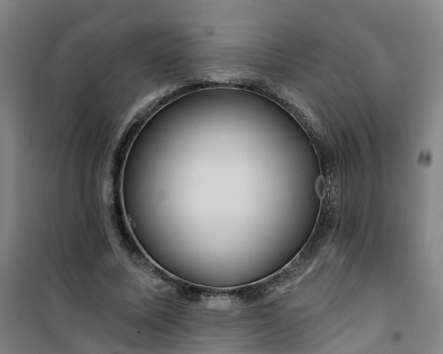 X0000101090587200807101550