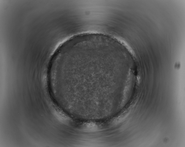 X0000101090588200807101550