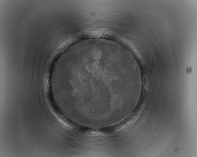 X0000101090590200807101550